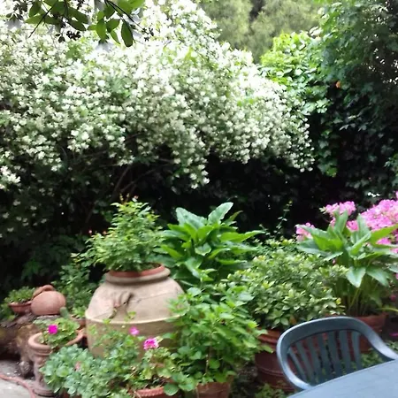 Apartamento 29 Via Roma Casa Mancini
